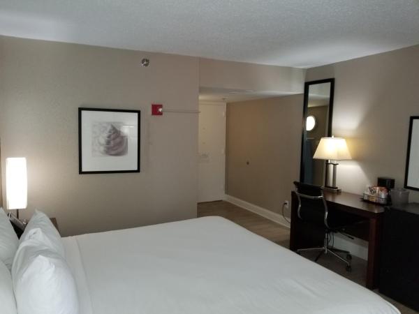 Junior King Suite - Non-Smoking